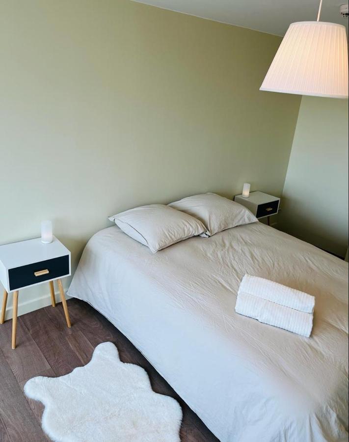 Espace 500 - Cosy, Wifi & Vue Sur La Ville Σαιντ-Ετιέν Εξωτερικό φωτογραφία