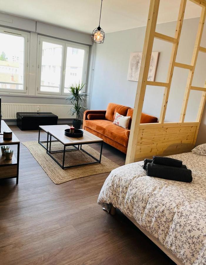Espace 500 - Cosy, Wifi & Vue Sur La Ville Σαιντ-Ετιέν Εξωτερικό φωτογραφία
