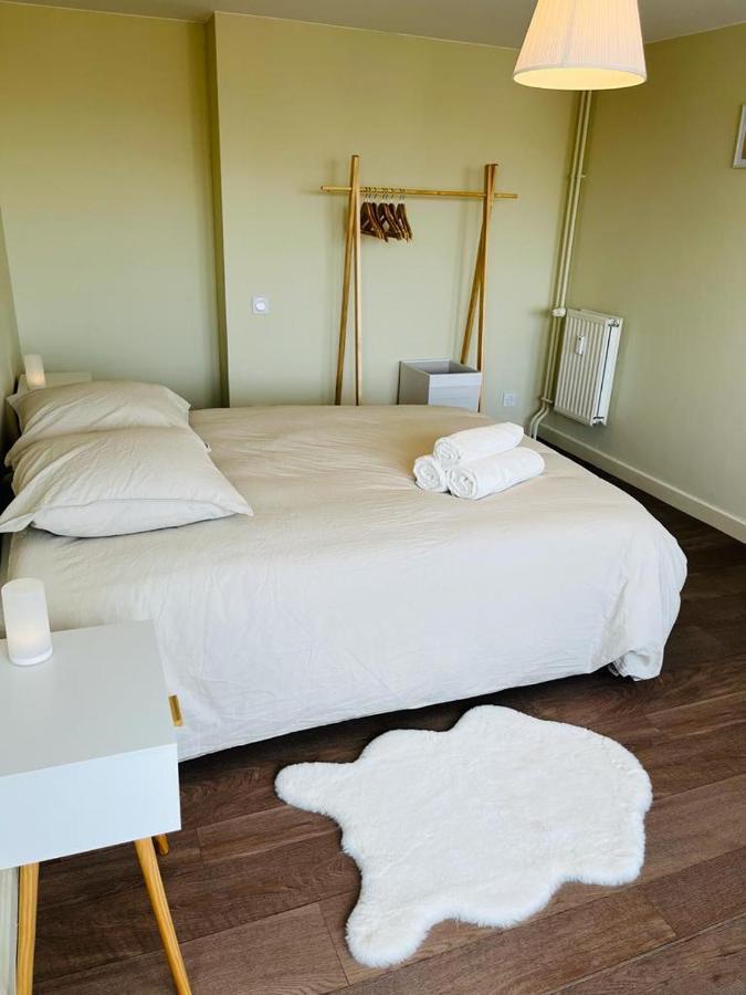 Espace 500 - Cosy, Wifi & Vue Sur La Ville Σαιντ-Ετιέν Εξωτερικό φωτογραφία