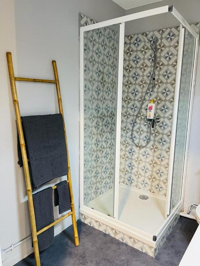 Espace 500 - Cosy, Wifi & Vue Sur La Ville Σαιντ-Ετιέν Εξωτερικό φωτογραφία